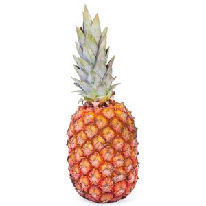 Abacaxi Pérola Premium Doce Mel