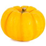 Abobora-Pumpkino