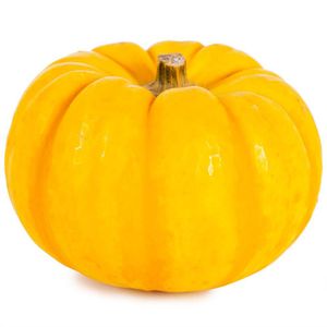 Abóbora Pumpkino Kg
