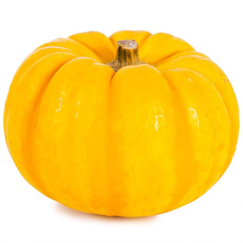 Abobora-Pumpkino
