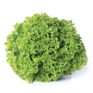 Alface Crespa Hasegawa