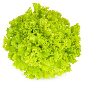 Alface Crespa Hidropônica Hasegawa 300g