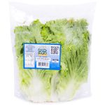 Alface-Crespa-Higienizada-Broto-da-Roca-160g