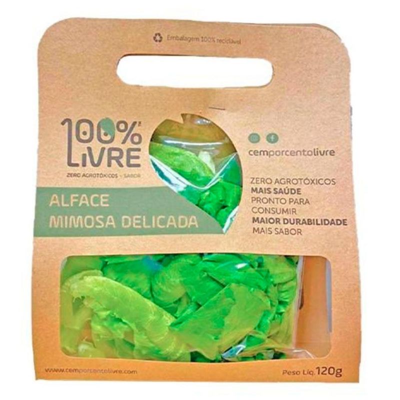 Alface-Mimosa-100-Livre-120g