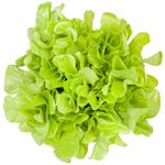 Alface-Mimosa-Hidroponica-300g