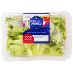 Alface-Crespa-Hidro-Villa-Das-Folhas-140g