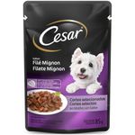 Alimento-Para-Caes-Sabor-Filet-Mignon-Cesar-Sache-85g