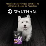 Alimento-Para-Caes-Sabor-Filet-Mignon-Cesar-Sache-85g