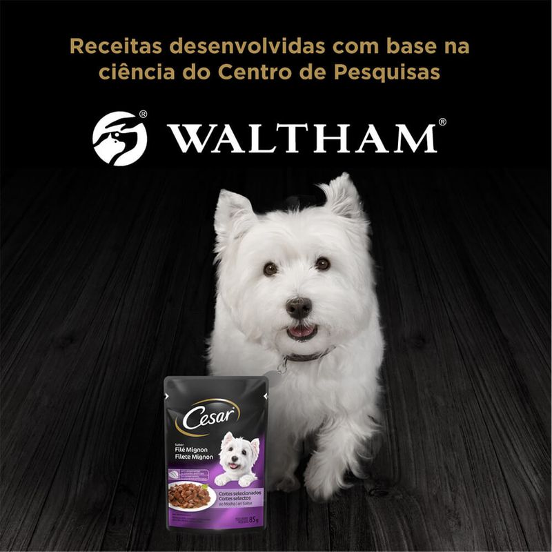 Alimento-Para-Caes-Sabor-Filet-Mignon-Cesar-Sache-85g