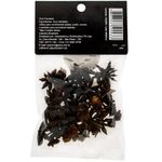 Anis-Terra-Rica-Estrelado-20g