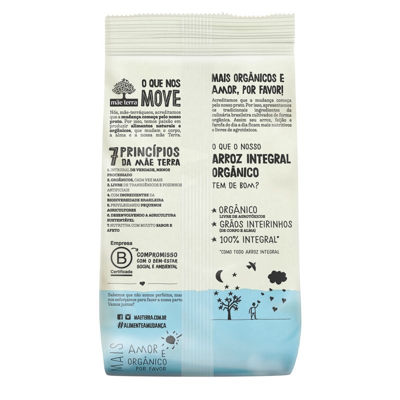 Arroz-Integral-Longo-Organico-Mae-Terra-500g