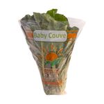 Baby-Couve-Hidroponico-Balestrim-500g