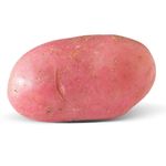 Batata-Rosada-1-Unidade