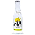 Bebida-Mista-Gin-E-Tonica-Eazy-Booze-210ml