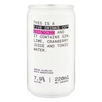 Bebida-Mista-Gin-Tonica-Five-Drinks-220ml