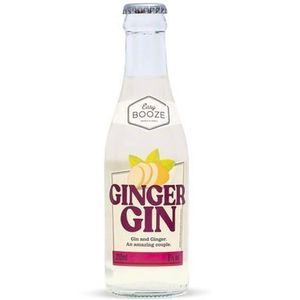 Bebida Mista Ginger e Gin Easy Booze 200ml