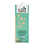 Bebida-Orgc3a2nica-Limonada-E-Hortelc3a3-Poder-da-Terra-1l