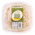 Broto-de-Alfafa-Broto-da-Roca-130g