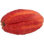 Cacau-1-Unidade
