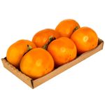 Caqui-Rama-Forte-Bandeja-600g
