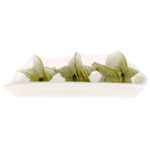 Carambola-Bandeja-300g