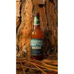 Cerveja-Argentina-Weisse-Patagonia-Long-Neck-355ml