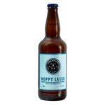 Cerveja-Hoppy-Lager-Three-Monkeys-500ml