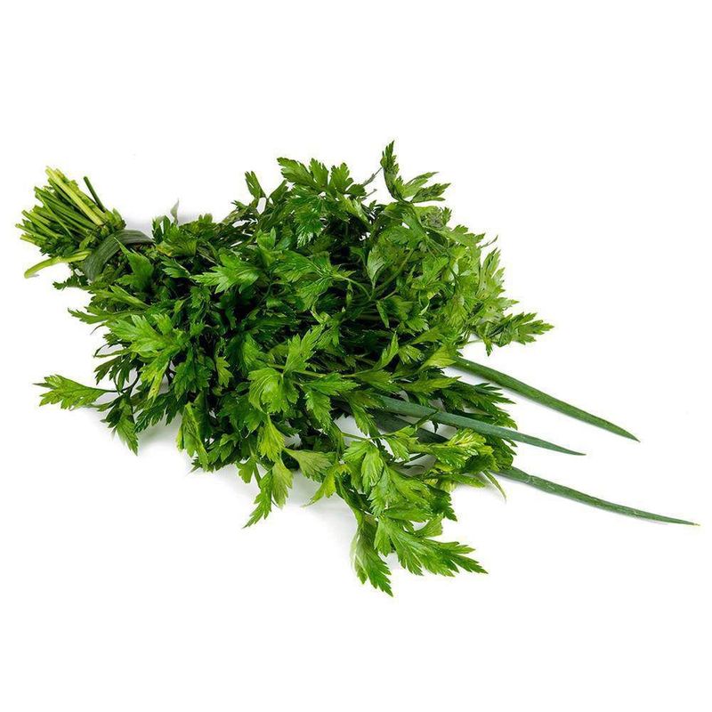 Cheiro-Verde-Balestrim-100g-Hipor