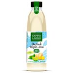 Cha-Verde-Com-Gengibre-E-Limao-Campo-Largo-900ml