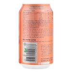 Chc3a1-Verde-Sabor-Frutas-Vermelhas-Zero-Ac3a7c3bacar-Yac3ad-350ml