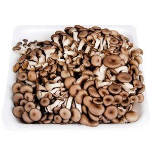 Cogumelo Shitake Orgânico ZUCCA Bandeja 200g