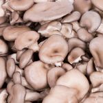 Cogumelo-Shimeji-Preto-Zucca-200g