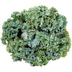Couve-Kale-Organica-Unidade
