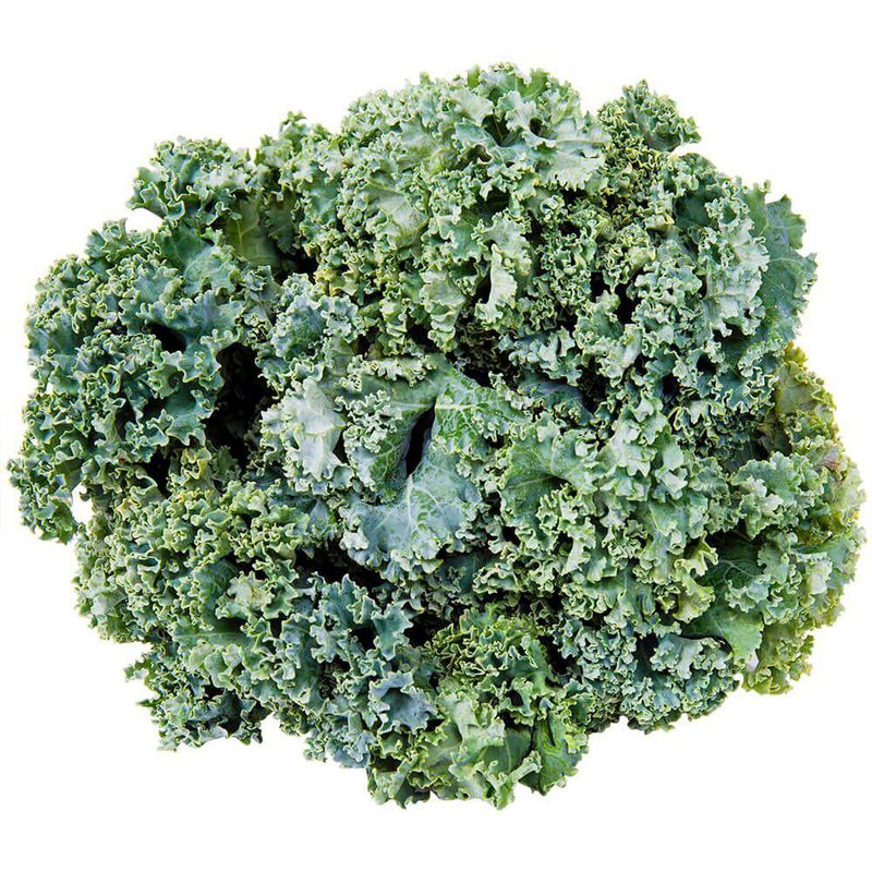 Couve-Kale-Organica-Unidade