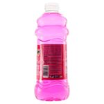Desinfetante-Bactericida-Floral-Sanol-2l