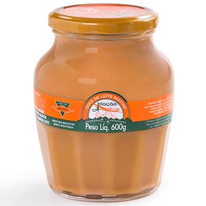 Doce de Leite Pastoso Aviação Pote 600g