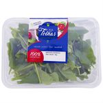 Espinafre-Hidroponico-Villa-Das-Folhas-140g