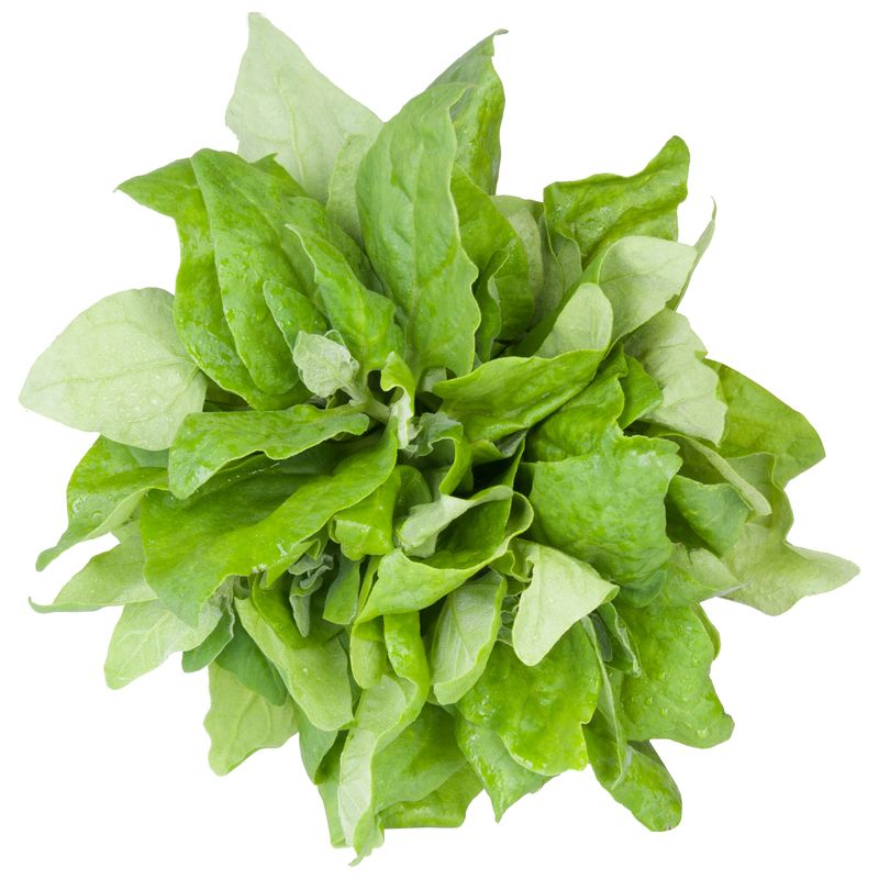 Espinafre-Organico-Horta-E-Arte-Pacote