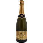 Espumante-Nacional-Demi-Sec-Salton-750ml