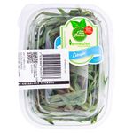 Estragao-Vermeulen-70g