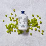 Gin-Espanhol-Atlantic-Galician-Nordes-700ml