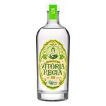 Gin-London-Dry-Orgc3a2nico-Citrus-Vitc3b3ria-Rc3a9gia-750ml