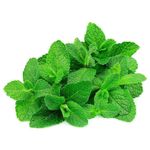 Hortela-Hidroponico-Balestrim-Maco