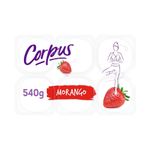Iogurte-Morango-Zero-Lactose-Bandeja-Corpus-540g