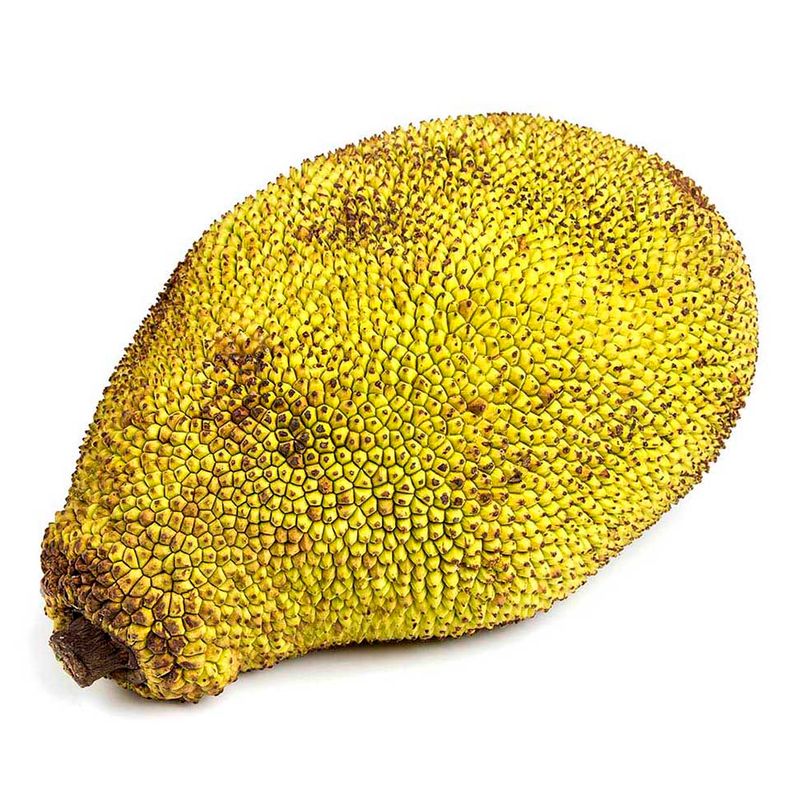 Jaca-1-Unidade-4kg