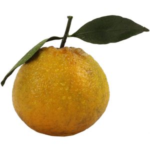 Laranja Seleta Kg