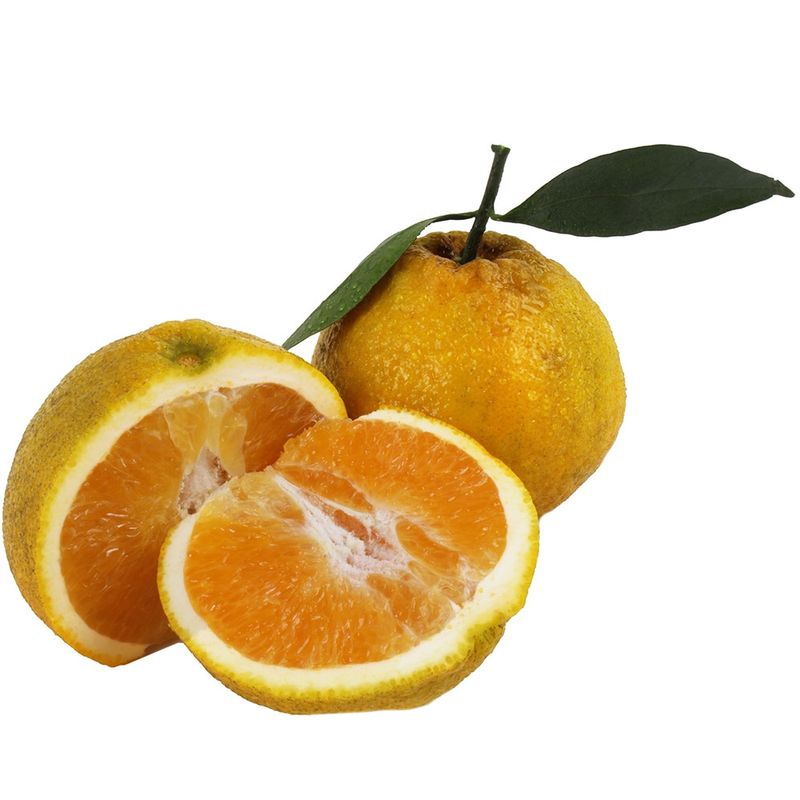 Laranja-Seleta-1-Unidade-300g