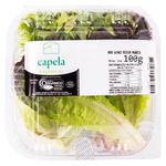 Mini-Alface-Bicolor-Capela-da-Penha-100g