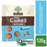 Mini-Cookie-Organico-Integral-4-Castanhas-Brasileiras-Mae-Terra-120g