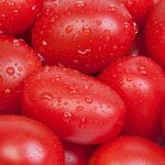 Mini-Tomate-Italiano-Trebeschi-250g